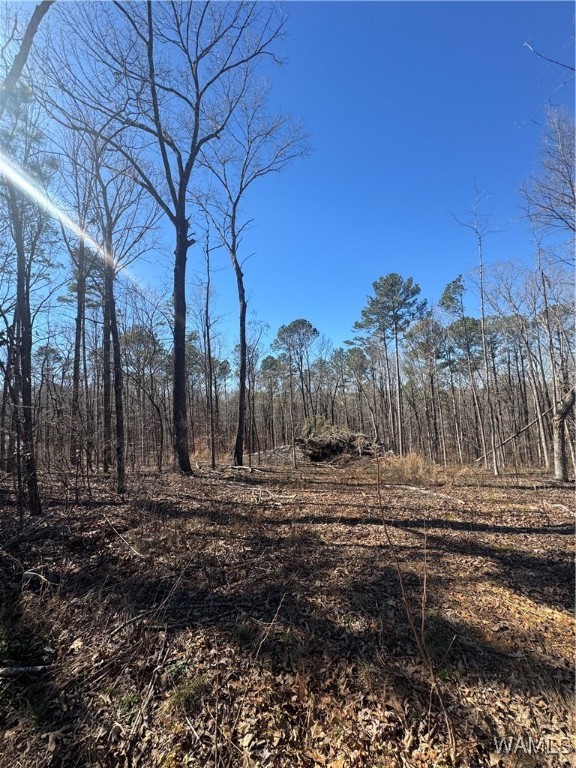 Rosser Lane, McCalla, Alabama image 4