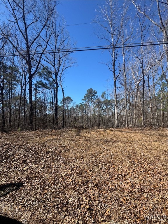 Rosser Lane, McCalla, Alabama image 2