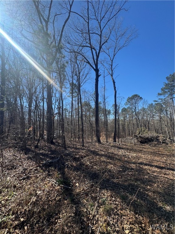 Rosser Lane, McCalla, Alabama image 3
