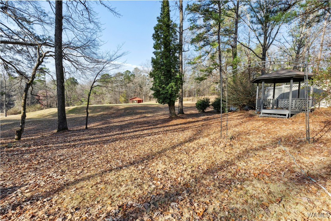 4902 Woodland Forest Drive, Tuscaloosa, Alabama image 29