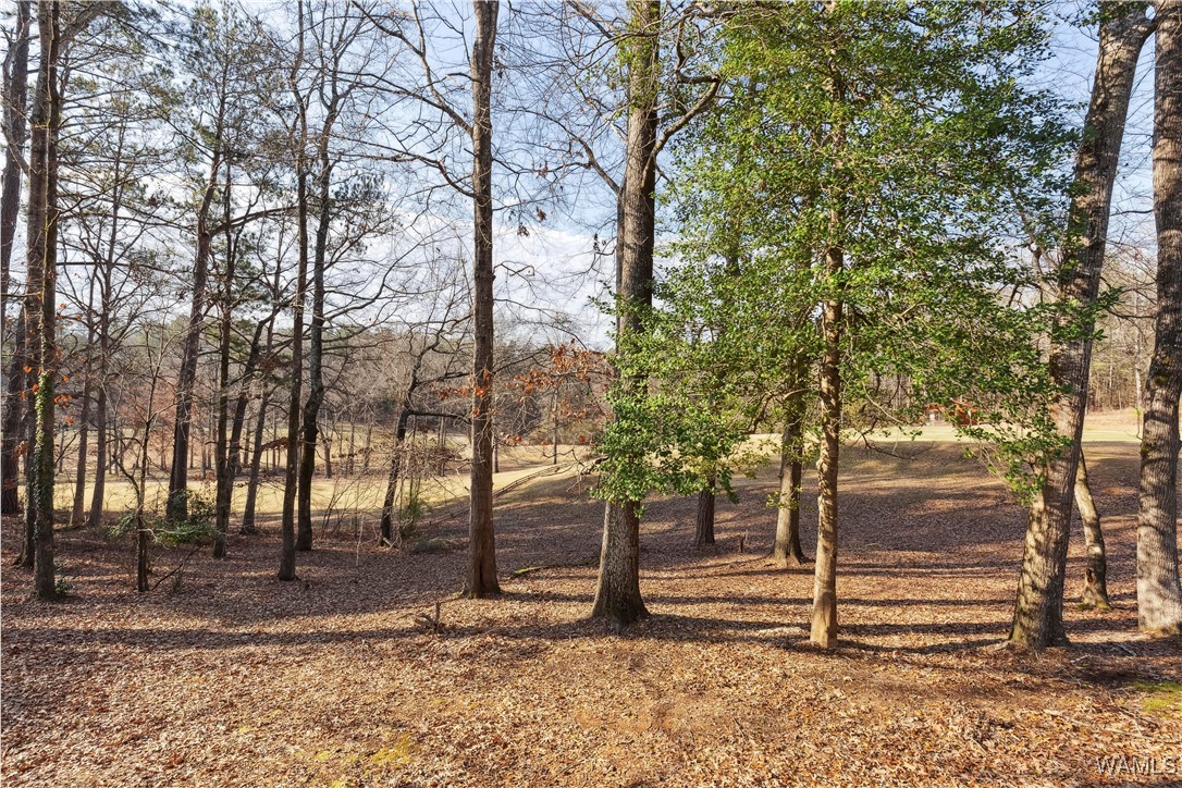 4902 Woodland Forest Drive, Tuscaloosa, Alabama image 30