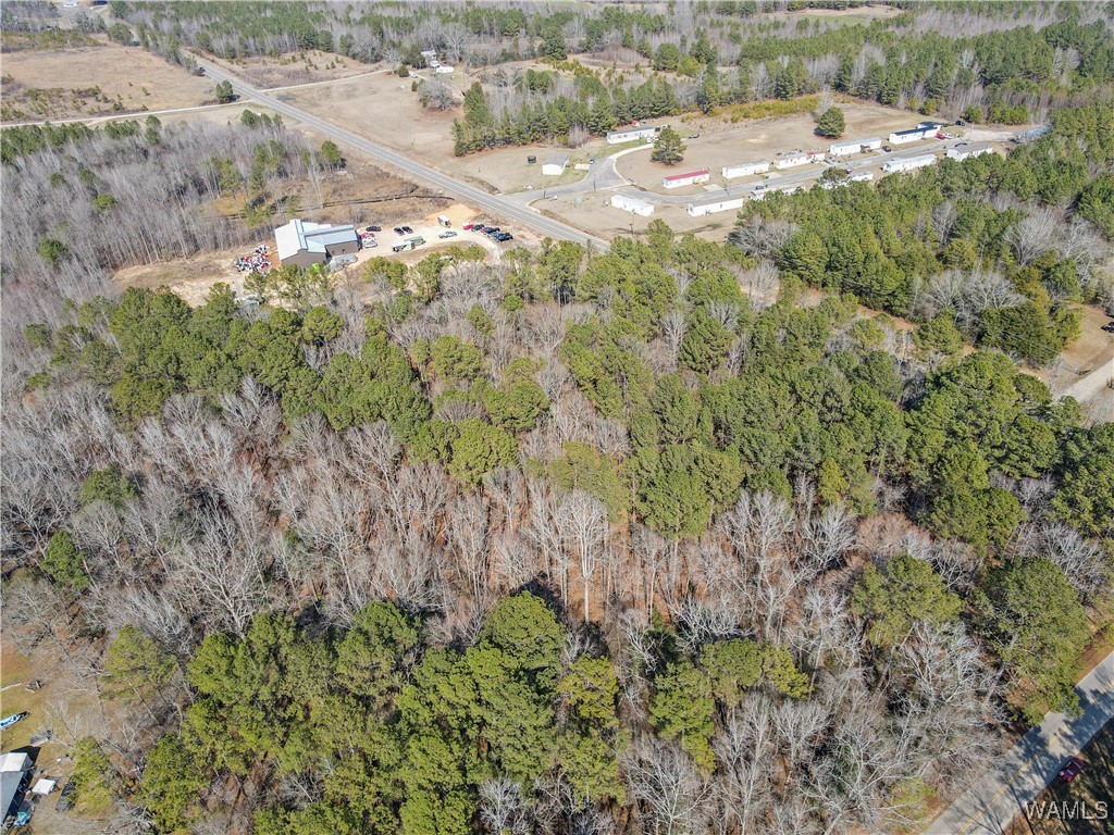 Brady Montgomery Road, North Port, Alabama image 15