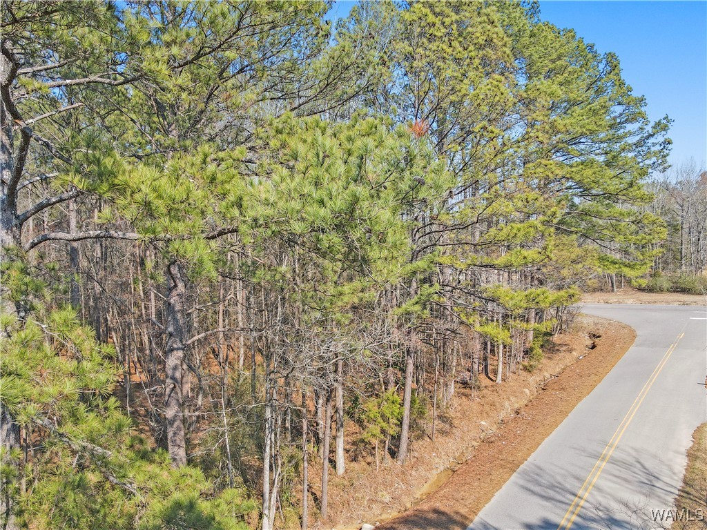 Brady Montgomery Road, North Port, Alabama image 12