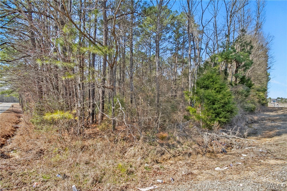 Brady Montgomery Road, North Port, Alabama image 8