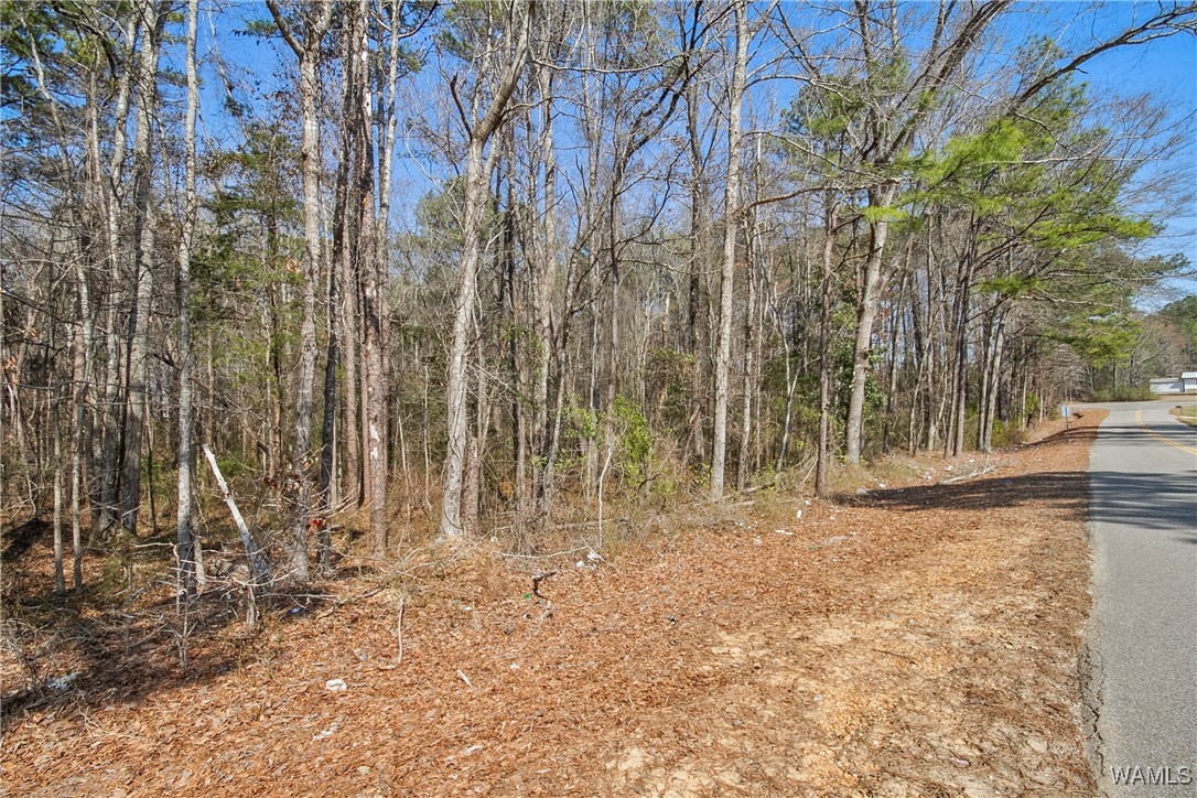 Brady Montgomery Road, North Port, Alabama image 1