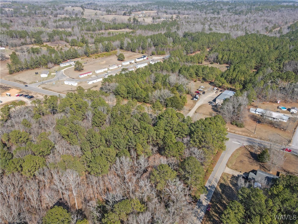 Brady Montgomery Road, North Port, Alabama image 19