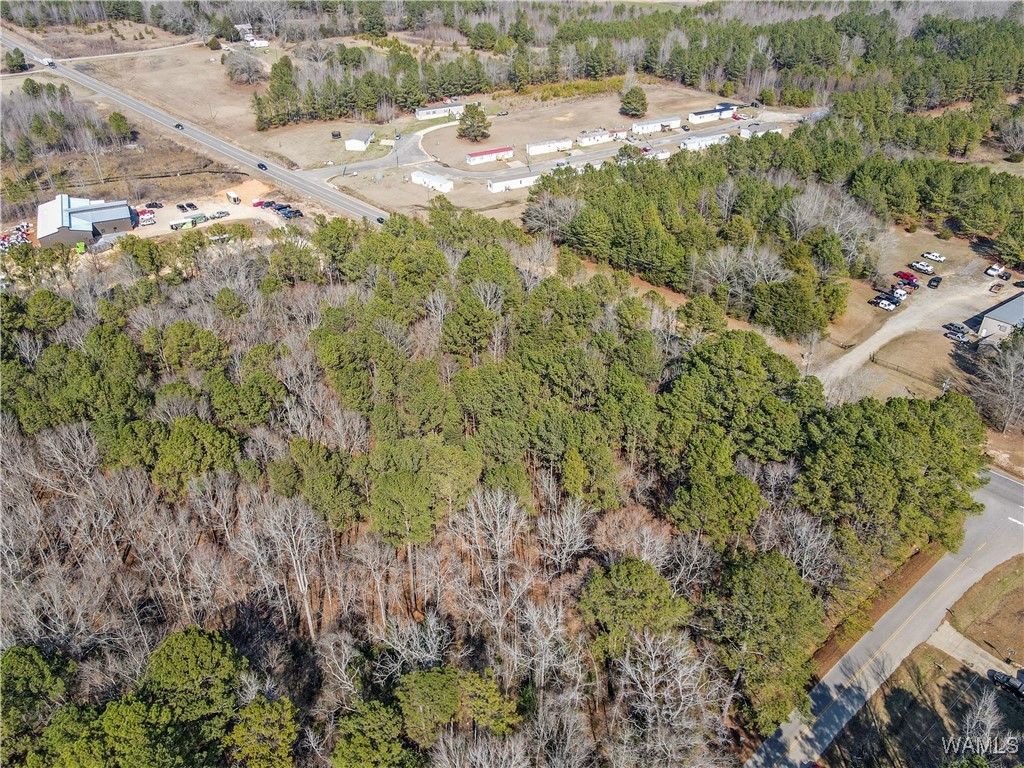 Brady Montgomery Road, North Port, Alabama image 14