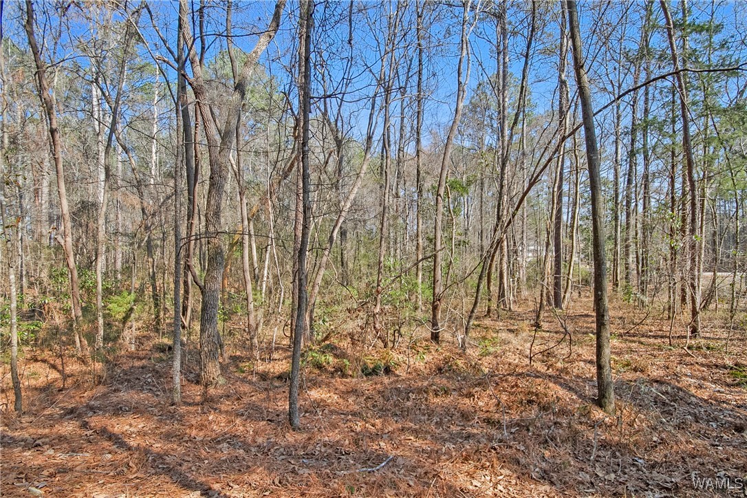 Brady Montgomery Road, North Port, Alabama image 4