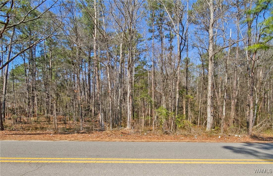 Brady Montgomery Road, North Port, Alabama image 2