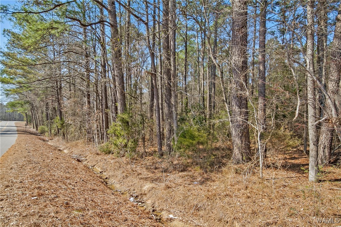 Brady Montgomery Road, North Port, Alabama image 7