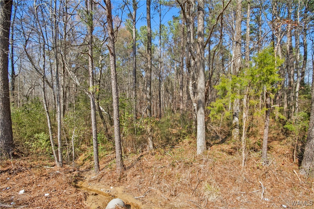 Brady Montgomery Road, North Port, Alabama image 6