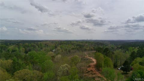Vacant Land For Sale - 12 Sellers Hollow Road<br/> Dora, AL 35062