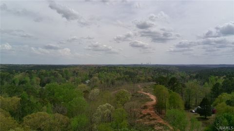 12 Sellers Hollow Road Dora AL 35062