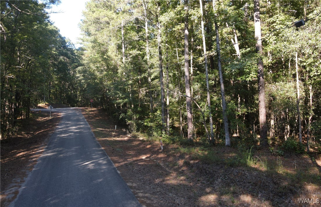 Grandview Drive, North Port, Alabama image 9