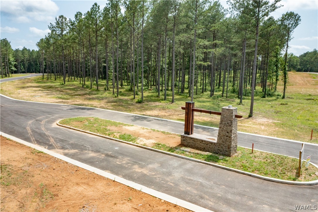 Lot 1 Jc Gilliam Road, Berry, Alabama image 1