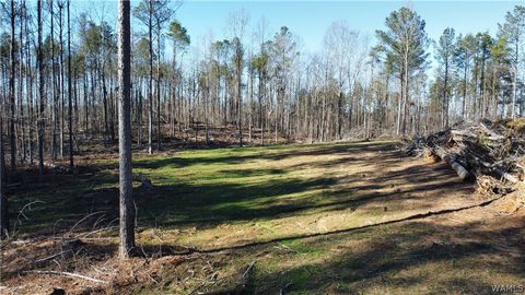 Vacant Land For Sale - 1 County Road 83<br/> Oakman, AL 35579
