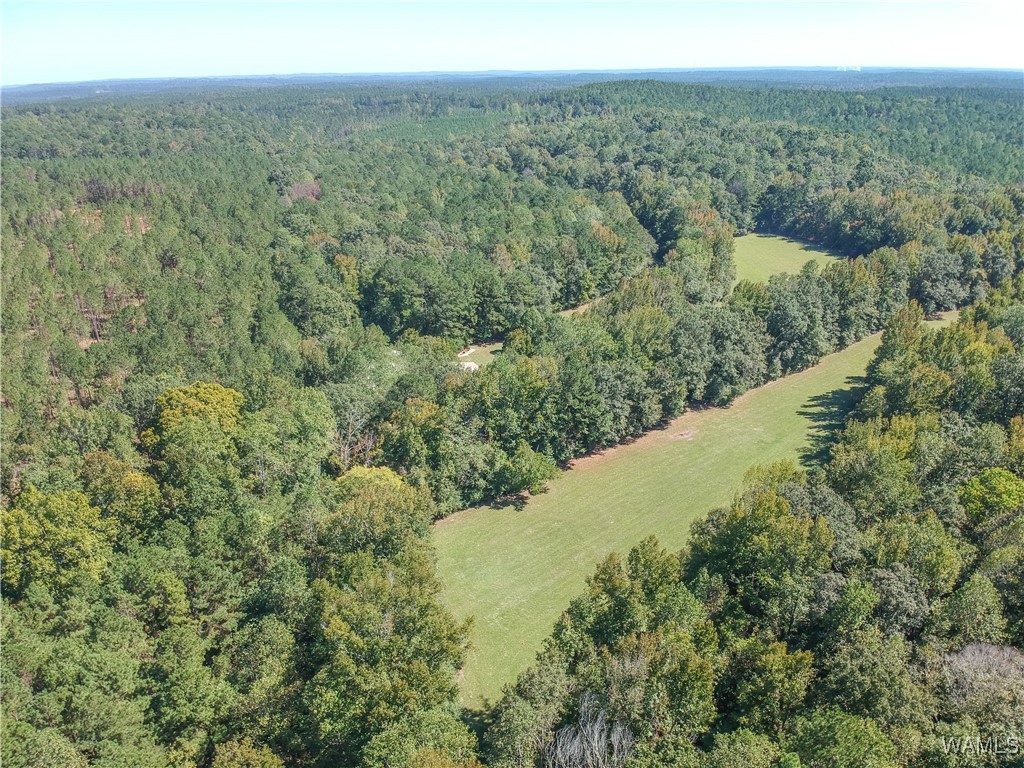 5671 County Road 220, Knoxville, Alabama image 40