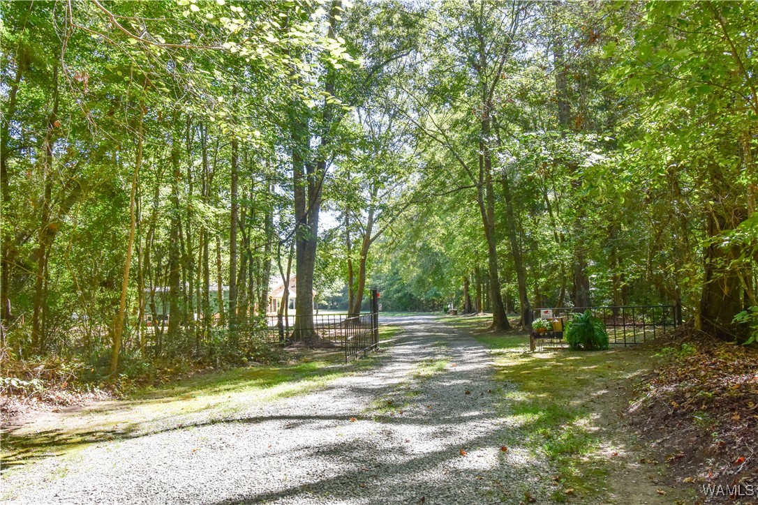 5671 County Road 220, Knoxville, Alabama image 34