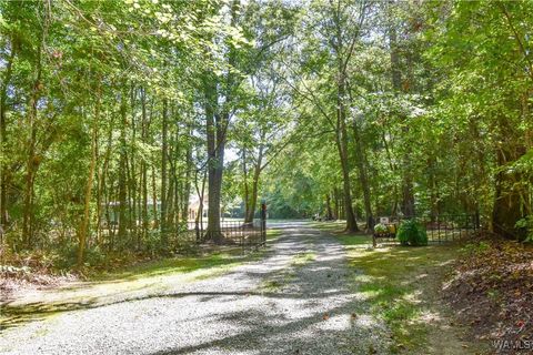 5671 County Road 220 Knoxville AL 35469