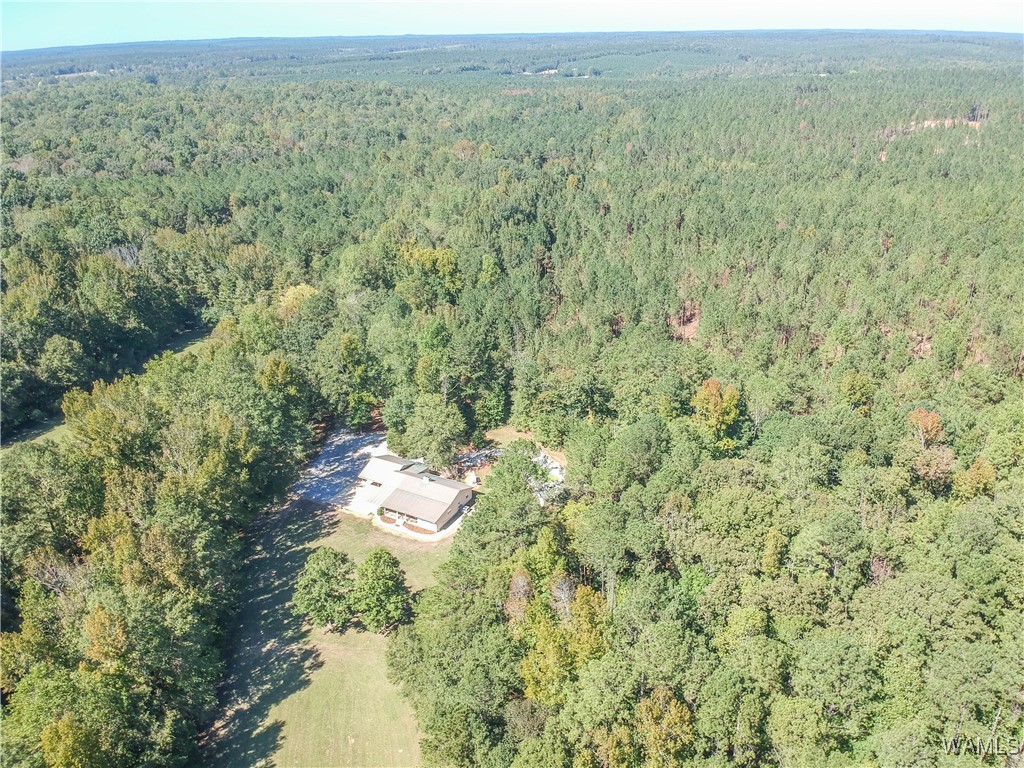 5671 County Road 220, Knoxville, Alabama image 47