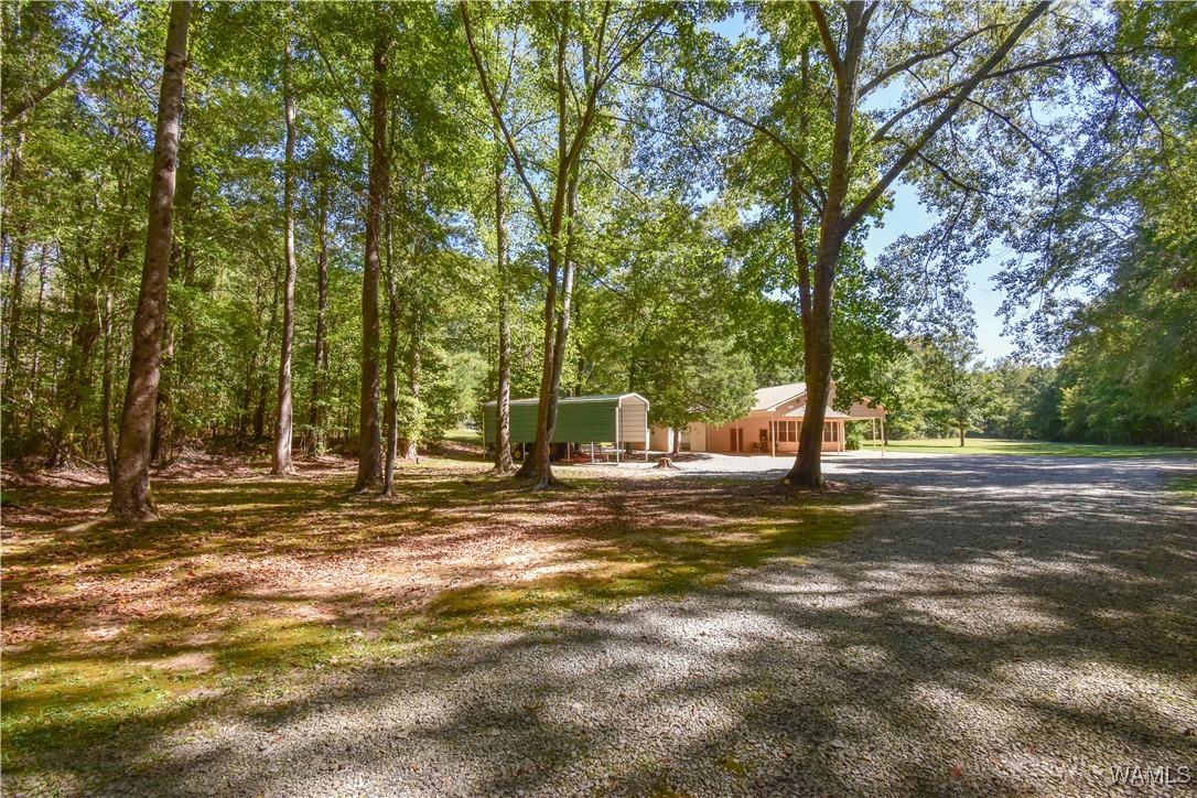 5671 County Road 220, Knoxville, Alabama image 32