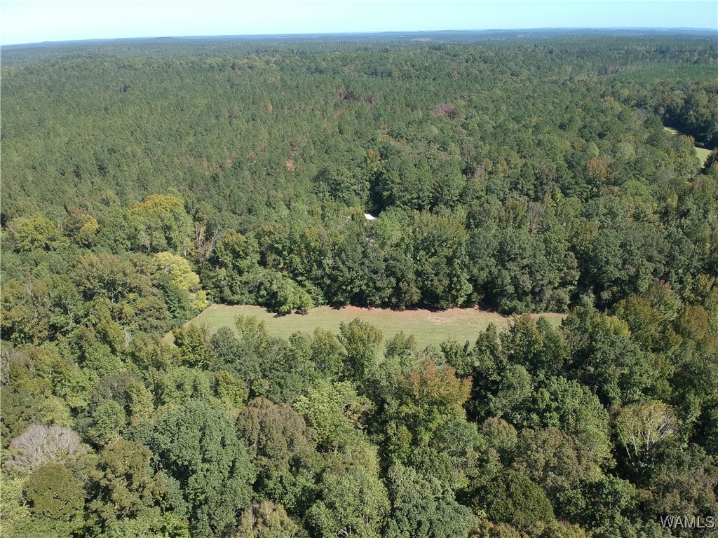 5671 County Road 220, Knoxville, Alabama image 38