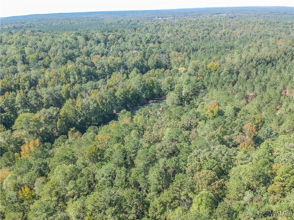 5671 County Road 220, Knoxville, Alabama image 49