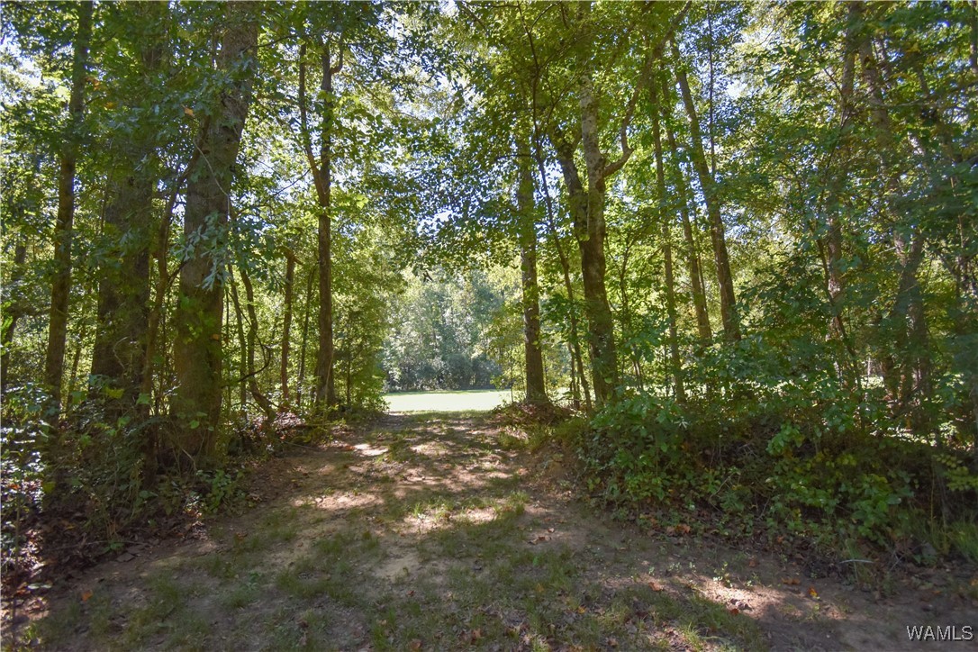5671 County Road 220, Knoxville, Alabama image 35
