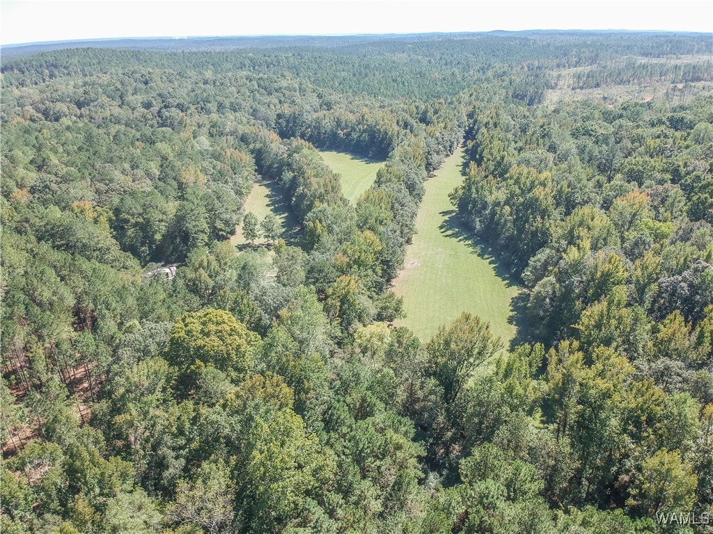 5671 County Road 220, Knoxville, Alabama image 42