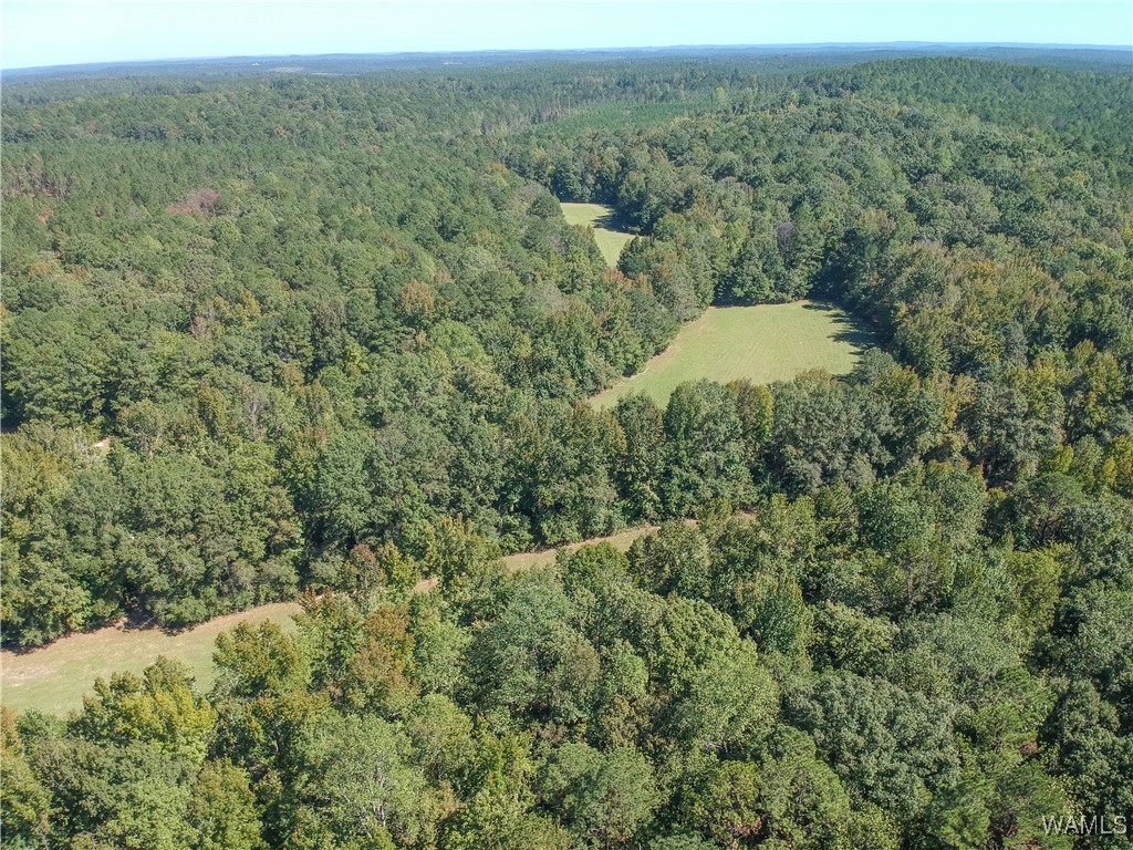 5671 County Road 220, Knoxville, Alabama image 37