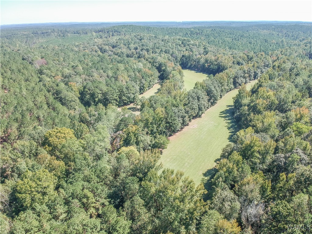 5671 County Road 220, Knoxville, Alabama image 41