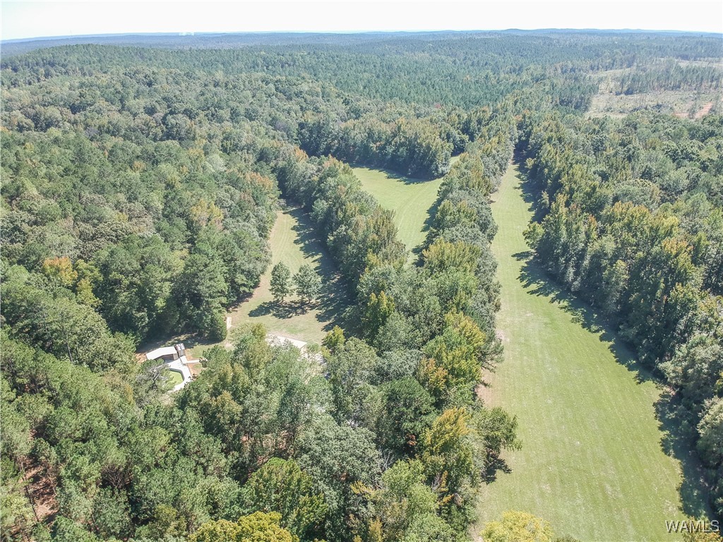 5671 County Road 220, Knoxville, Alabama image 43