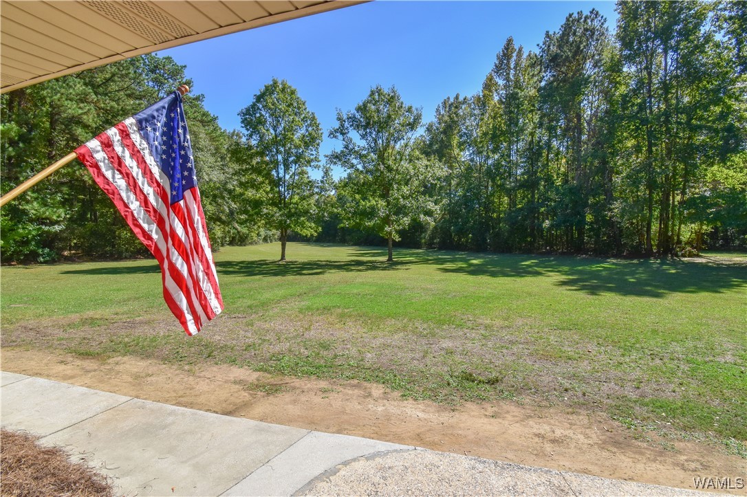 5671 County Road 220, Knoxville, Alabama image 4