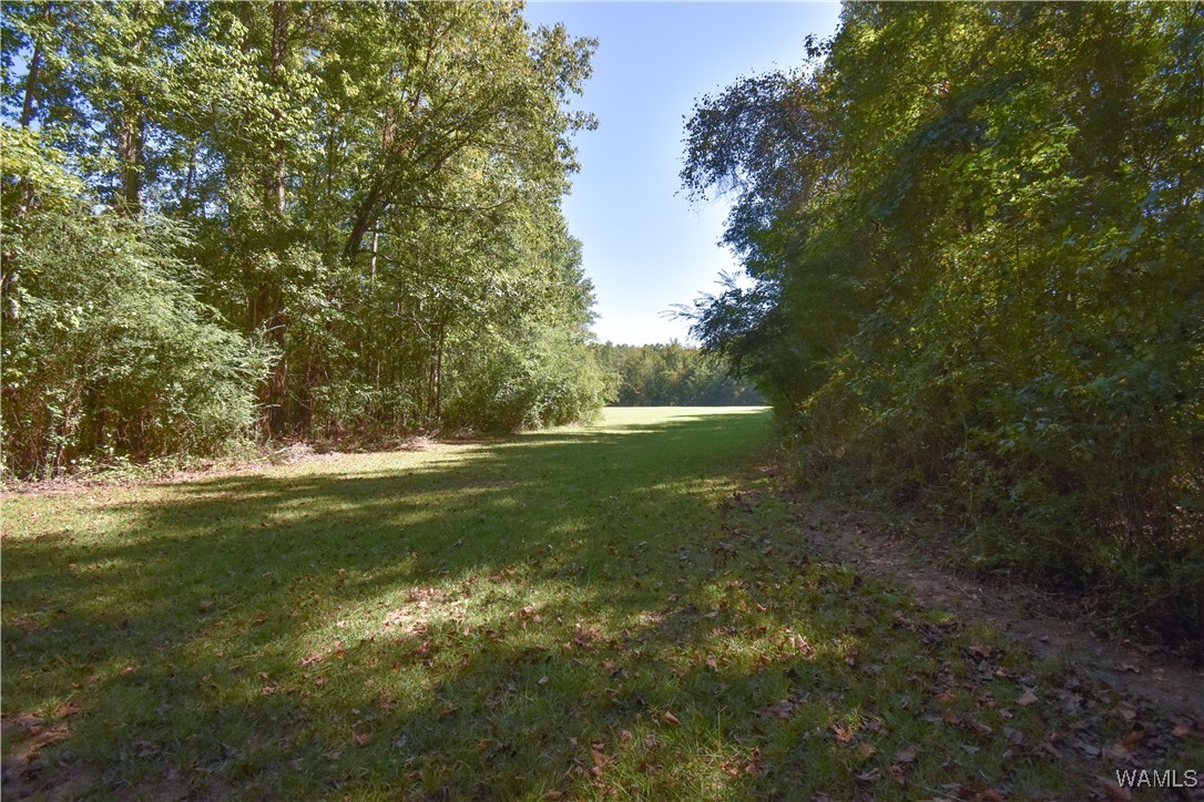 5671 County Road 220, Knoxville, Alabama image 33