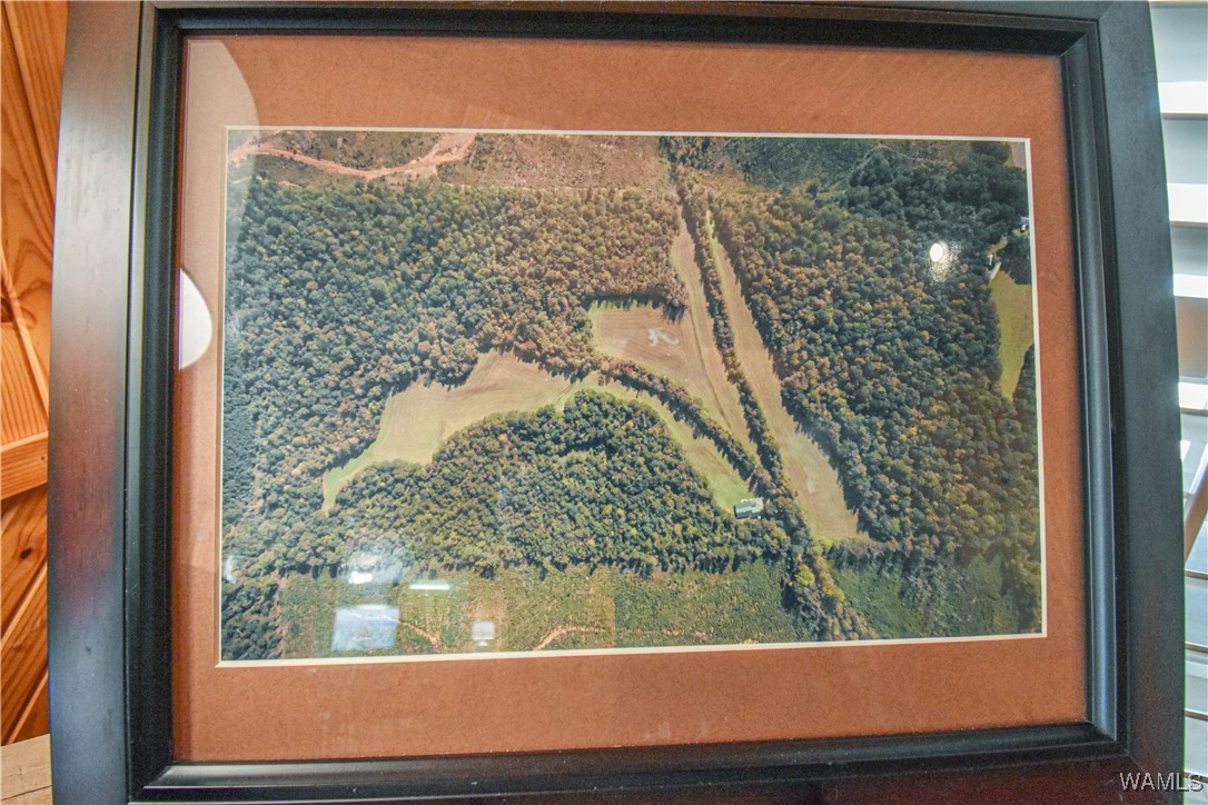 5671 County Road 220, Knoxville, Alabama image 5