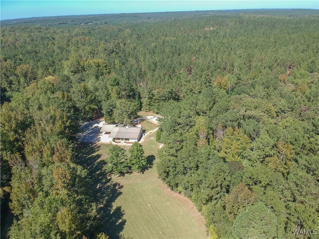 5671 County Road 220, Knoxville, Alabama image 46