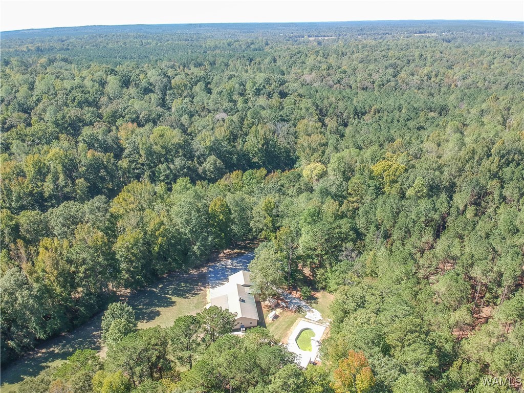 5671 County Road 220, Knoxville, Alabama image 50