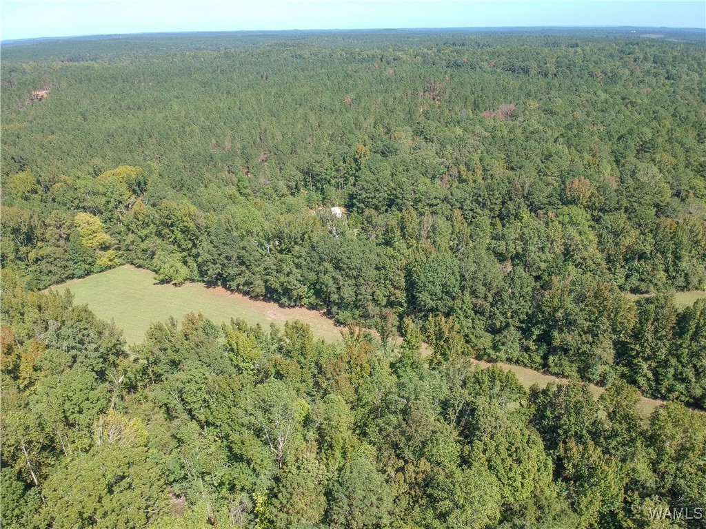 5671 County Road 220, Knoxville, Alabama image 36