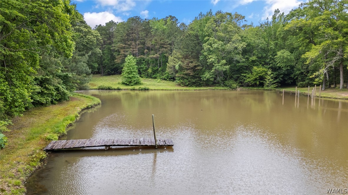 18273 Spring Hill Church Road