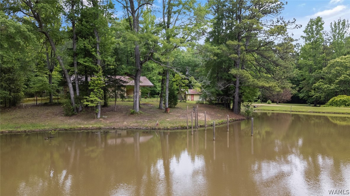18273 Spring Hill Church Road