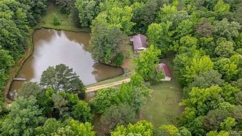 Homes For Sale - 18273 Spring Hill Church Road Rd<br/> Fayette, AL 35555