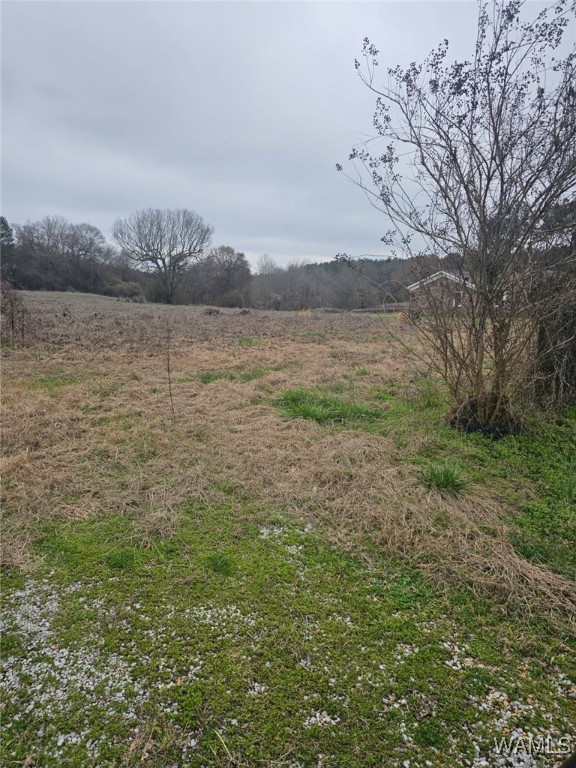 836 County Road 7, Greensboro, Alabama image 2