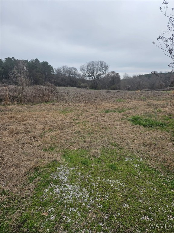 836 County Road 7, Greensboro, Alabama image 1