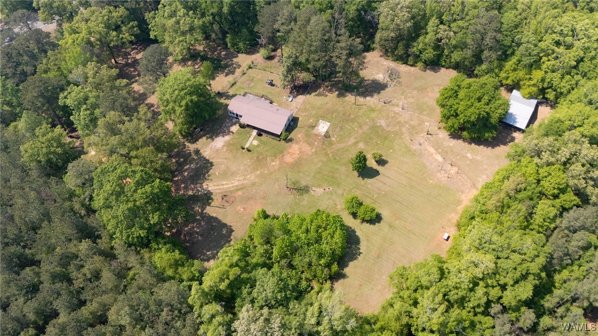 21180 Al Highway 69, Greensboro, Alabama image 32