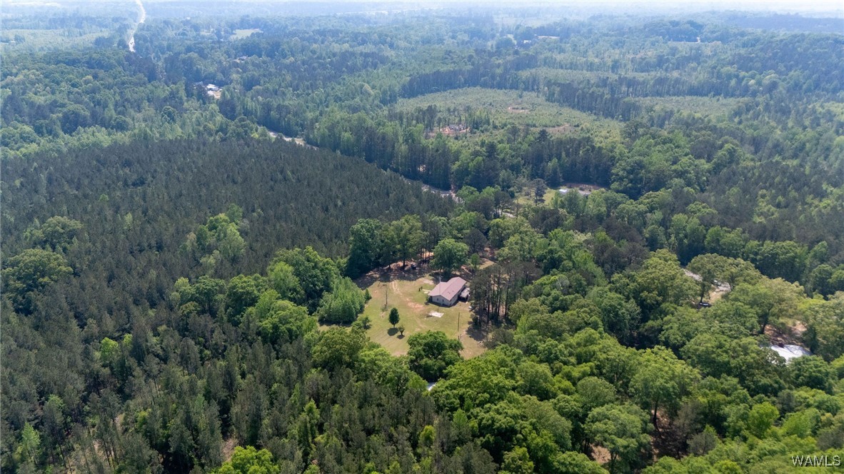 21180 Al Highway 69, Greensboro, Alabama image 35