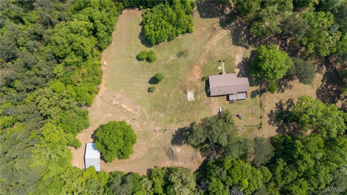 21180 Al Highway 69, Greensboro, Alabama image 31