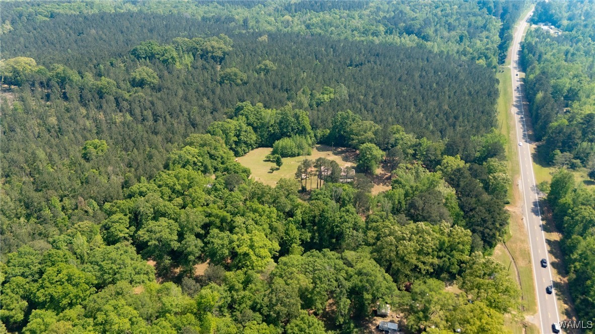21180 Al Highway 69, Greensboro, Alabama image 33