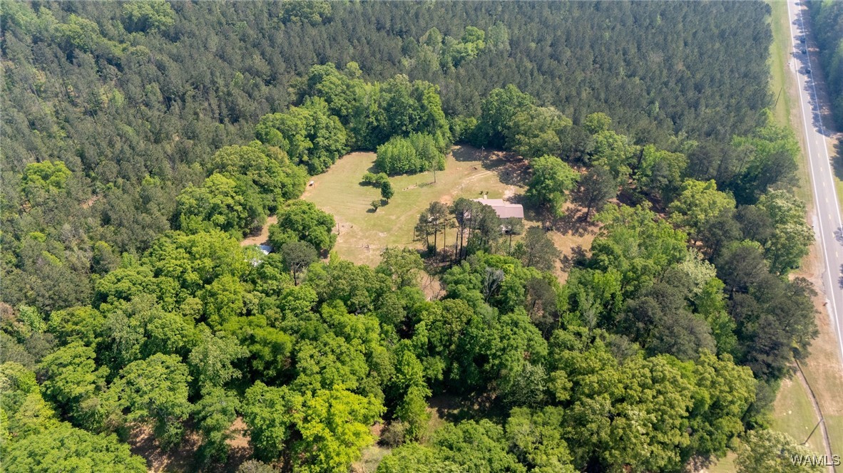 21180 Al Highway 69, Greensboro, Alabama image 34