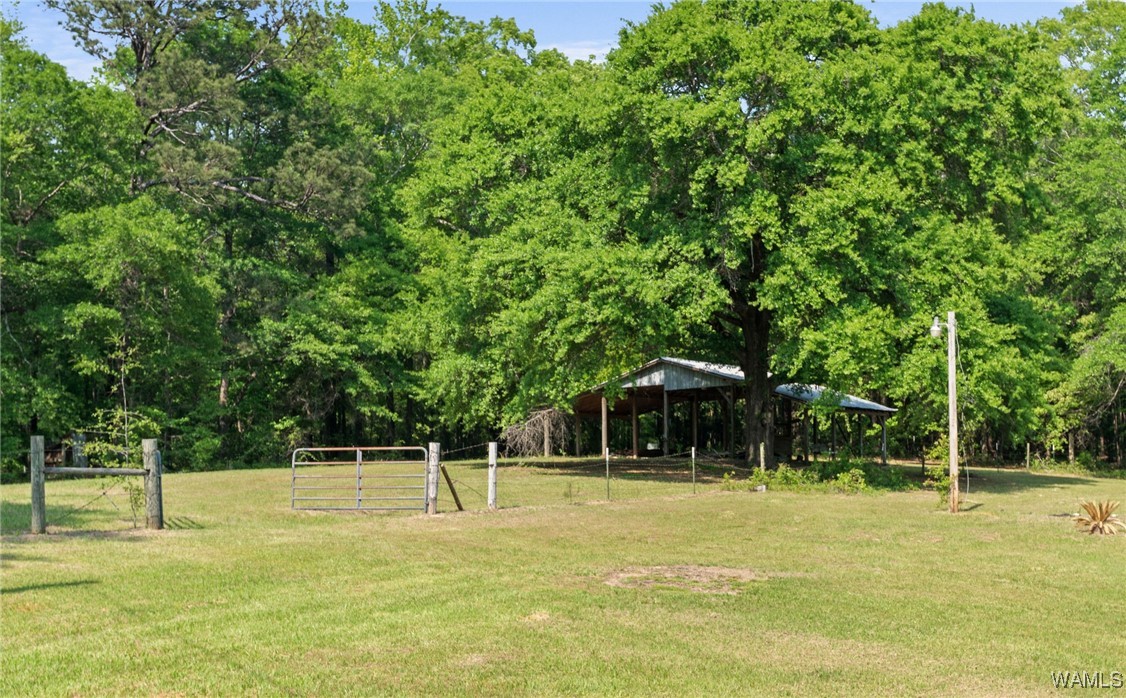 21180 Al Highway 69, Greensboro, Alabama image 26