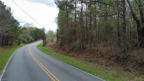 Vacant Land For Sale - 2 County Highway 42<br/> Marion County, Guin, AL 35563